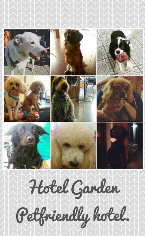 Hotel Garden ヴィアレッジョ エクステリア 写真